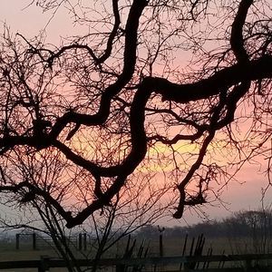 Meet your Posher, Kathryn